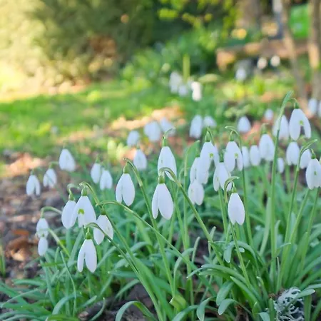 La Renardiere Proissans