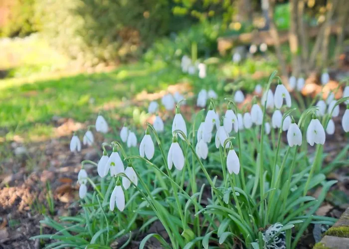 La Renardiere Proissans